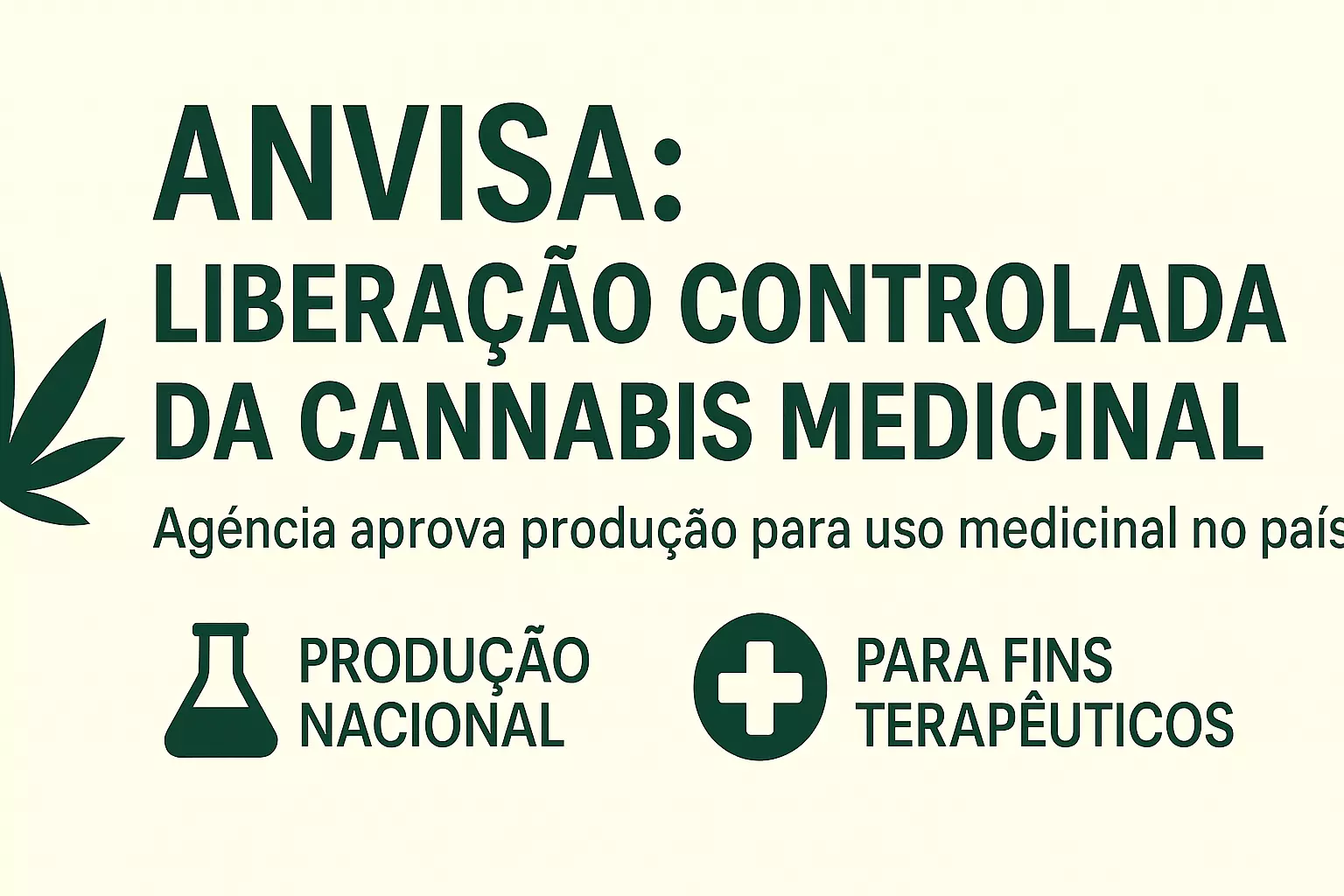 Brasil dá passo histórico: Anvisa libera produção de cannabis medicinal